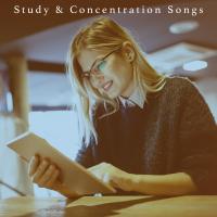 Artwork for Study & Concentration Songs by Musica Relajante