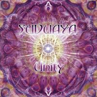 Artwork for Unity by Suduaya