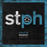 Artwork for Dreamer by Mauri Fly