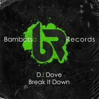 Artwork for Break It Down by DJ Dove