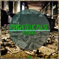 Artwork for Destroyer by Psychedelic Pulse