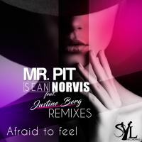 Artwork for Afraid to feel Remixes by Mr. Pit