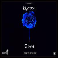 Artwork for Gone by Knotch