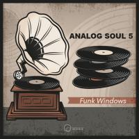 Artwork for Analog Soul 5 by Funk Windows