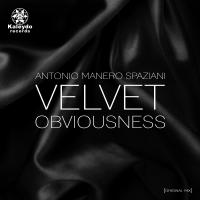 Artwork for Velvet Obviousness by Antonio Manero Spaziani