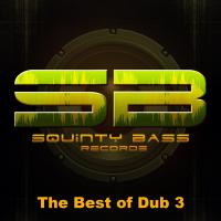 Artwork for The Best of Dub 3 by Various Artists