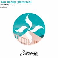 Artwork for You Really (Remixes) by DE GRAAL'