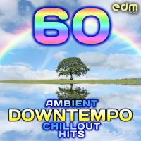 Artwork for 60 Ambient, Downtempo, Chillout Hits (Best of Groovy, Down Beat, Lounge, World, Electronica) by Various Artists