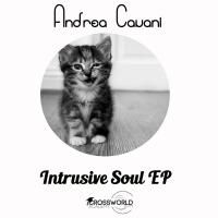 Artwork for Intrusive Soul EP by Andrea Cavani