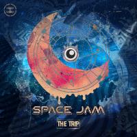 Artwork for The Trip by Space Jam