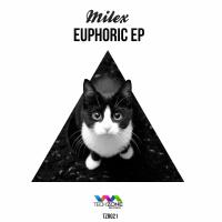 Artwork for Euphoric by Milex