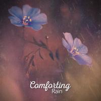 Artwork for Comforting Rain by Rainfall