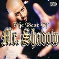 Artwork for The Best of Mr. Shadow by Mr. Shadow