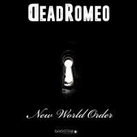 Artwork for New World Order by DeadRomeo