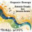Artwork for Organic Energy (Antonio Ocasio WEPA Remix)