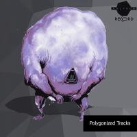 Artwork for Polygonized Tracks by Various Artists