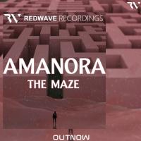 Artwork for The Maze by AMANORA