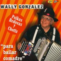 Artwork for Para Bailar Comadre by Wally Gonzalez