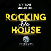 Artwork for Rocking Da House by Nytron