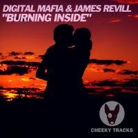 Artwork for Burning Inside by Digital Mafia