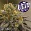 Artwork for Loud (feat. Iamsu!)