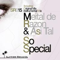 Artwork for So Special by Meital De Razon