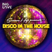 Artwork for Seamus Haji Presents Disco In The House by Various Artists