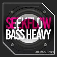 Artwork for Bass Heavy by Seekflow