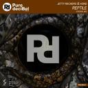 Artwork for Reptile (Original Mix)