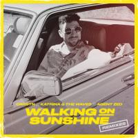 Artwork for Walking on Sunshine (Remixes) by CARSTN