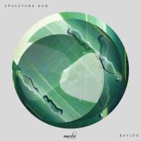 Artwork for Bayioo by Spacefunk Dub