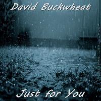 Artwork for Just For You by David Buckwheat