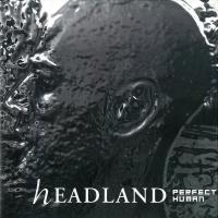 Artwork for Perfect Human by Headland