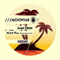 Artwork for Mluve Nam (Percussionism Mix) by James Deron