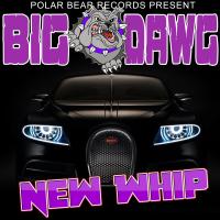 Artwork for New Whip by Big Dawg