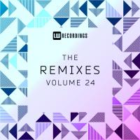 Artwork for The Remixes, Vol. 24 by Various Artists