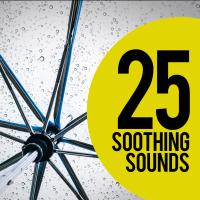 Artwork for 25 Soothing Sounds by Whale Sounds