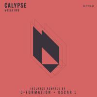 Artwork for Meaning by Calypse