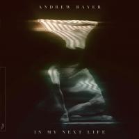 Artwork for In My Next Life by Andrew Bayer