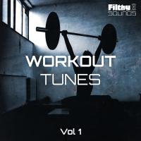 Artwork for Workout Tunes, Vol. 1 by Various Artists