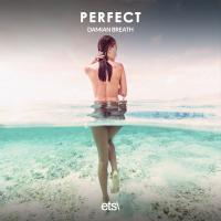 Artwork for Perfect by Damian Breath