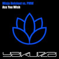 Artwork for Ass You Wish by Misja Helsloot