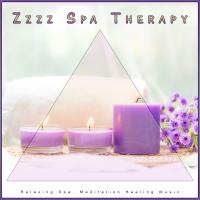 Artwork for Zzzz Spa Therapy: Relaxing Spa, Meditation Healing Music by Spa Music Relaxation