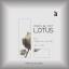 Artwork for Lotus (Dominik Vaillant Remix)