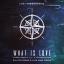 Artwork for What Is Love 2016 (Dimitri Vegas & Like Mike Remix)