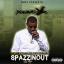 Artwork for Spazzin Out