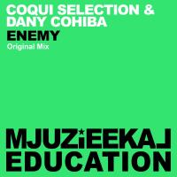 Artwork for Enemy by Coqui Selection