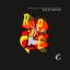 Artwork for Era of Rave (Lukas Firtzer Remix)