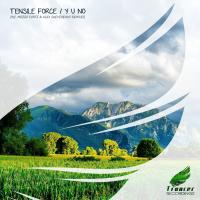 Artwork for Y U NO by Tensile Force