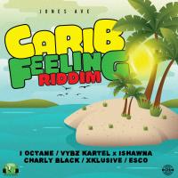 Artwork for Carib Feeling Riddim by Various Artist